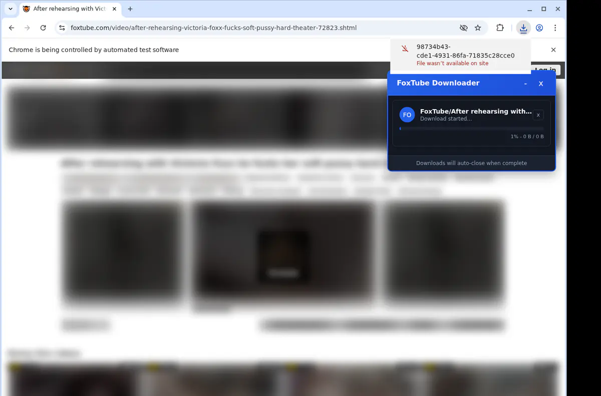 Foxtube Video Downloader screenshot 2