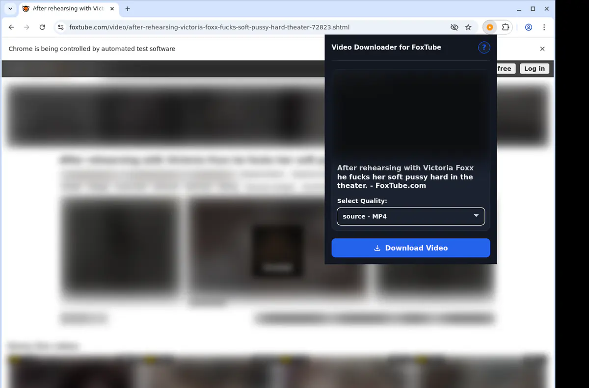 Foxtube Video Downloader screenshot 3